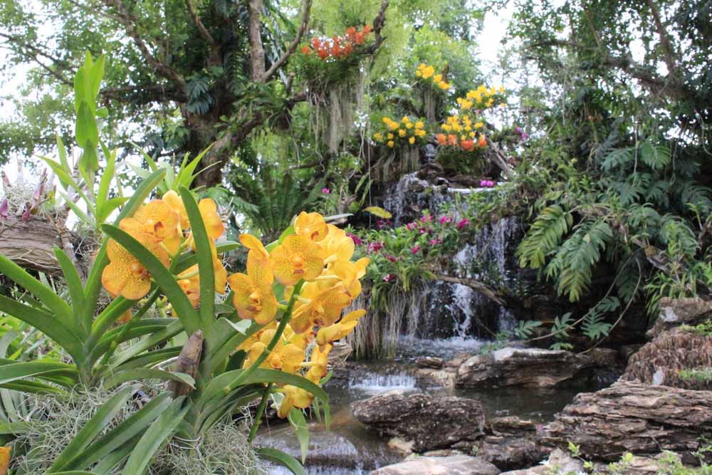 ขอเชิญร่วมงานมหกรรมกล้วยไม้ ไม้ดอก ไม้ประดับ นครปฐม 57